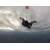 Wings Tandem